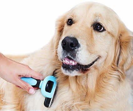 Pet Grooming Brush_1